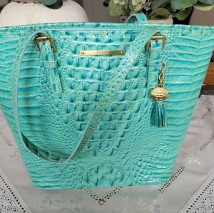 Brahmin Asher Large Satchel